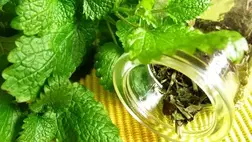 4 ok, miért legyen citromfű a konyhában