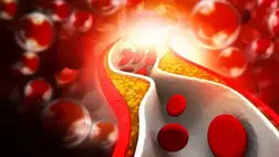 Ezek a jelek mutatják a pajzsmirigyzavart