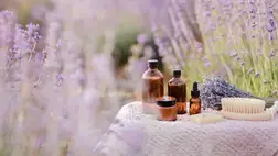 Öt olaj, amely segíti az emésztést