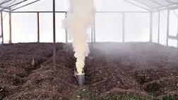 A következő szezonra történő felkészülés a közhiedelemmel ellentétben nem a palántaneveléssel kezdődik, hanem a fóliasátrak nagytakarításával.