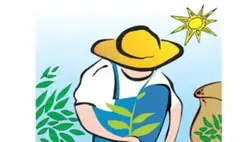 A „Pro Agricultura Carpatika” Alapítvány hallgatói ösztöndíjat hirdet