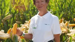 Okosodnak a kukoricák is... (Video)