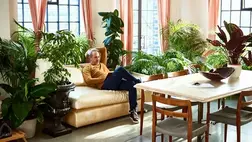 Csodanövények, amik tisztítják a lakás levegőjét