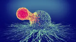 Igazolták egy új rákellenes gyógymód hatékonyságát