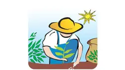 Felhívás: Első lépés szociális program 