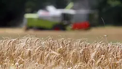 Egy hónap alatt egymillió tonna gabona hagyta el Ukrajnát