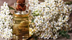 Cickafark, a nők doktora