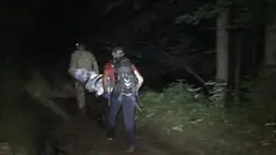 Darázscsípésbe halt bele egy férfi a Kárpátokban