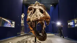 Eddig ismeretlen dinoszauruszt fedeztek fel