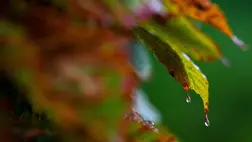 Mérgező anyagok miatt már sehol sem fogyasztható az esővíz
