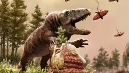 A hüllők fellendülést 250 millió évvel ezelőtt a globális felmelegedés okozhatta