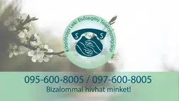 Merjünk segítséget kérni!