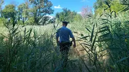 Tóból mentettek ki egy öngyilkosságra elszánt férfit 