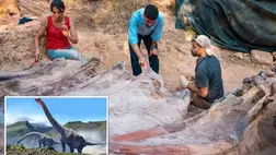 Huszonöt méter hosszú dinoszaurusz csontvázat találtak egy férfi hátsó kertjében