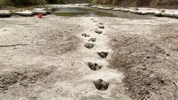 Szenzációs dinoszauruszleletre bukkantak egy kiszáradóban lévő folyó medrében