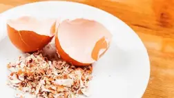 Mutatjuk, mi mindenre jó a tojáshéj