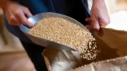 Esésnek indultak a gabonaárak az ukrán gabonaexport megindulásával