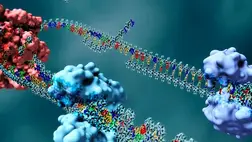 106 millió éves vírust találtak fosszilizálva a humán genomban