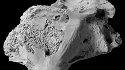 Több száz furcsa, apró kövületet találtak a halkoponya belsejében