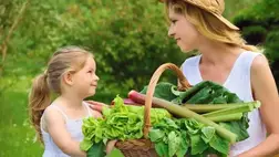 Ha unja a narancsot: íme, a legjobb immunerősítők