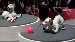 A robotkutya már nem csupán egy vicces játékszer