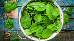 Ételek, melyekre minden nőnek szüksége van