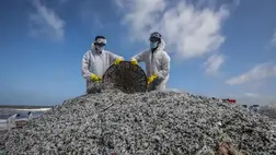 A szennyezés az elfelejtett globális krízis és ezt meg kell oldanunk most