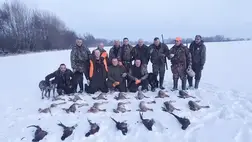 Vuk utódai évente hatalmas pusztítást végeznek az apróvad-állományban. Így a rókák számának visszaszorítása egész évre munkát ad a vadásztársaságnak.