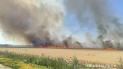 Herszon megyében több mint 200 hektárnyi termés pusztult el a támadások következtében