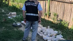 Kárpátalján több tucat borostyán és kábítószeres csomagra bukkantak a rendőrök