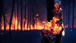 Továbbra is ezer hektáron ég az erdő cseh-német határon lévő Ceské Svycarsko Nemzeti Parkban