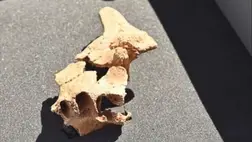 Meglepő dolgokról mesél Európa legrégebbi emberi maradványa