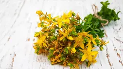  Van egy gyógynövény, ami megnyugtat és javítja a hangulatodat 