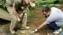 Krétakori dinoszaurusz-lábnyomokat találtak egy kínai étteremben