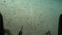 Az óceán fenekén talált rejtélyes lyukak tartják lázban a világot