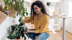  Így locsold a cserepes virágokat és gyönyörűek lesznek 