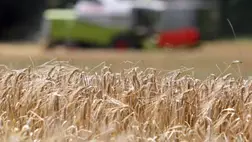 Már három ukrán kikötőből indulhat újra a gabonaexport