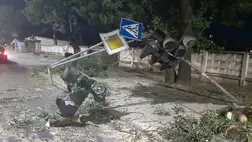 Vihar Kárpátalján: Kidőlt fák és megsérült közlekedési lámpa