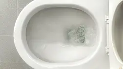 A lekefélhetetlen vízkövet is fellazítja: házi WC-tisztító