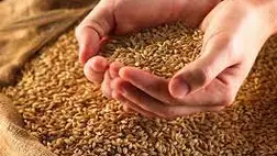 Blinken: 40-50 millió fővel bővül az éhezők tábora Oroszország háborúja miatt