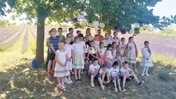 Feltöltődés a nagybégányi levendulásban