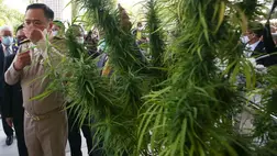 Legalizálták a marihuánát egy, a turisták által is kedvelt ázsiai országban