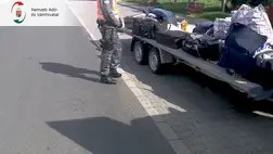 Cigi a bőröndben és szívószálak között (Video)