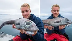 Űrlényszerű szörny került elő a Norvég-tengerből