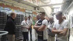 Tokaj, Szerémség, Ruszt, Beregvidék és a Kárpát-medence még számos más borvidéke azért tudtak kiemelkedő helyen szerepelni, mert nagy biztonsággal tudtak aszúkat, főborokat, szamorodnikat készíteni szinte évről évre.