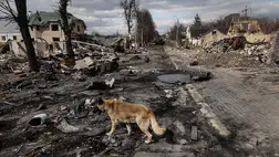 Ukrán miniszter: a hidak, vasútvonalak, kikötők, légikikötők közel 30 százaléka megsemmisült