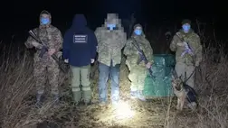 Cigicsempészt fogtak el a badalói határőrök