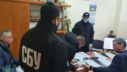 4 millió hrivnya értékű fát adtak el illegálisan az erdészek Kárpátalján