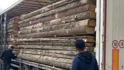 Kárpátalján az SZBU illegális faexportot akadályozott meg