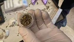 Kábítószert és fegyvert találtak a rendőrök egy beregvidéki férfinél 